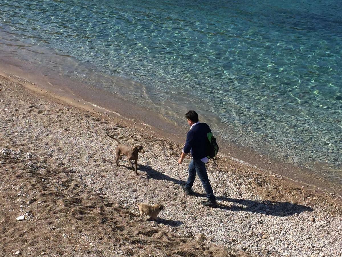 Ca Na Jb Lägenhet Puerto de Sóller Exteriör bild